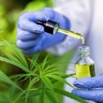 cbd oil for pain