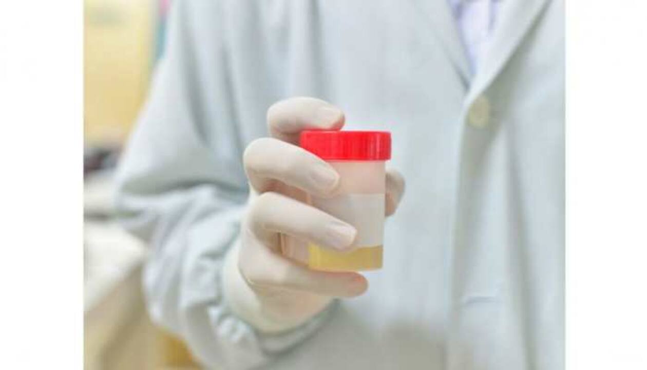 best synthetic urine for drug test