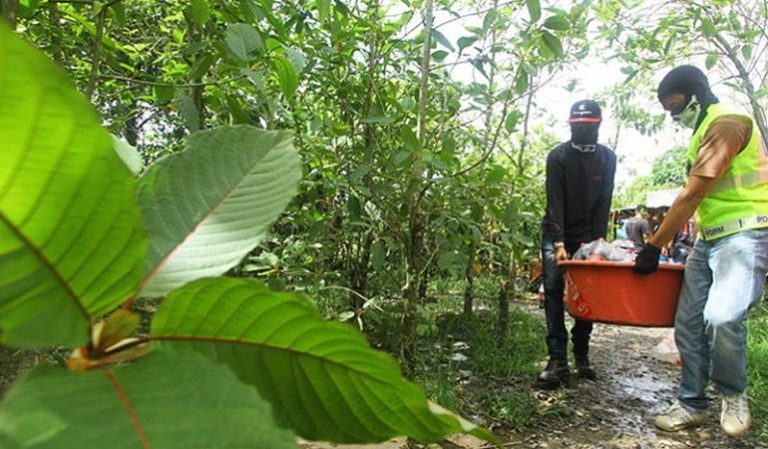 How to maximize Red Maeng Da Kratom's power?