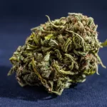 CBD Flowers and Hemp Flowers – Here’s a knowhow